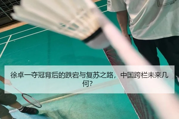徐卓一夺冠背后的跌宕与复苏之路，中国跨栏未来几何？